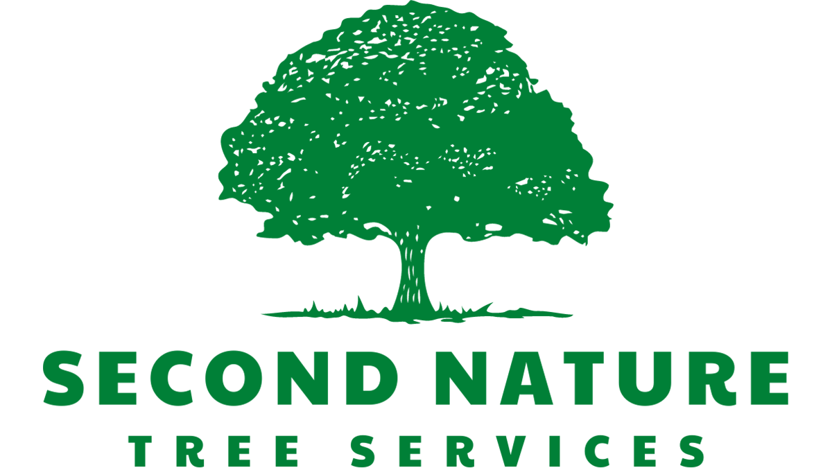 Expert Tree Care & Landscaping Services | Second Nature